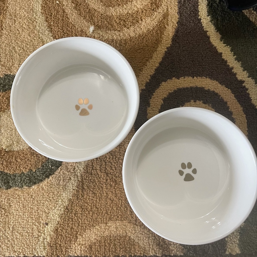 Pet bowl set
